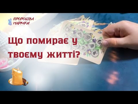 Видео: 🕯️Розклад на самайн! Що помирає в твоєму житті? Ворожіння на таро @marichka_taro