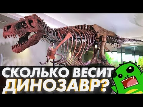 Видео: 🦖Измеряем ТИРАННОЗАВРА - Самый большой динозавр? | Сью | Ученые не скрывают?😱😱😱