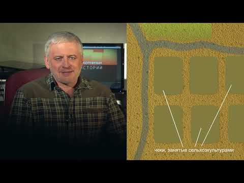 Видео: Охотничьи истории. Сезон 3. Охота на шакала с манком