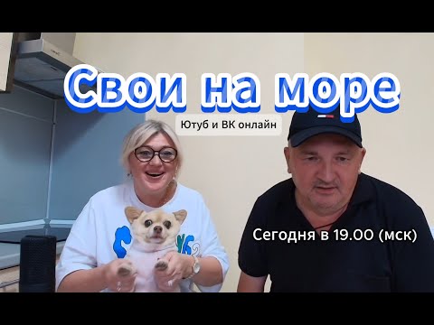 Видео: Новости Дзен - лента онлайн сегодня  19 октября 2025