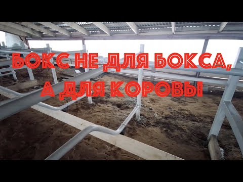 Видео: Устройство бокса для коров (подробно, с размерами)