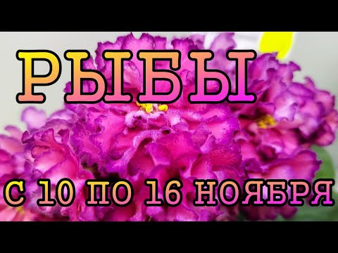 Видео: РЫБЫ таро прогноз на неделю с 10 по 16 НОЯБРЯ 2025 года
