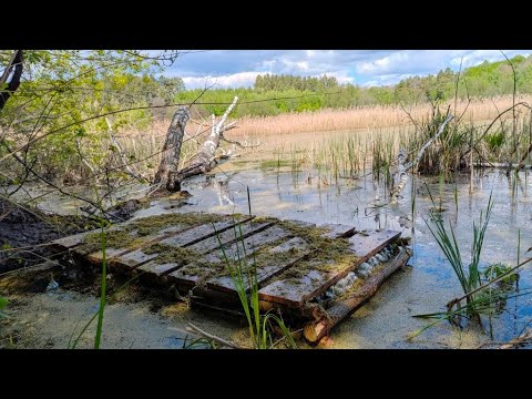 Видео: Ночь, болото, плот. В этом пруду рыбы нет