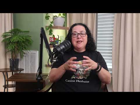 Видео: Травы для здоровья кишечника с Ритой Хоган