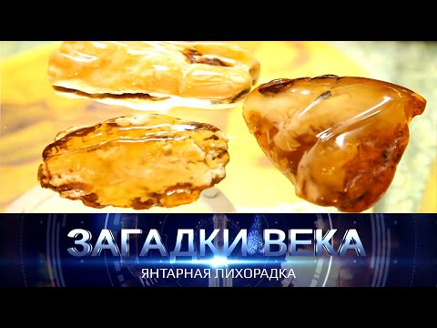 Видео: Янтарная лихорадка