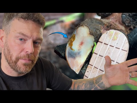 Видео: Это ВЫСТУПАЕТ, мы проверяем друг друга и подстригаем переросшие ноги