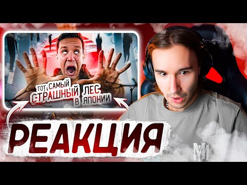 Видео: КОРЕШ СМОТРИТ: ТОТ САМЫЙ СТРАШНЫЙ ЛЕС В ЯПОНИИ! ПРОВЕЛ ТАМ НОЧЬ | GhostBuster