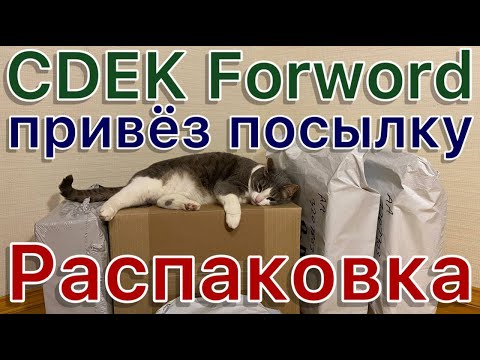 Видео: CDEK forward привез посылки. Почему мне не нравится эта компания. Распаковка