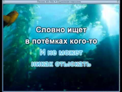 Видео: Одинокая гармонь.