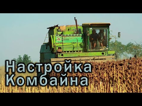 Видео: Уборка подсолнуха! Настройка комбайна ДОН-1500Б.