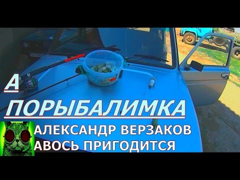 Видео: Оснастка на толстолоба: донная, поплавочная.