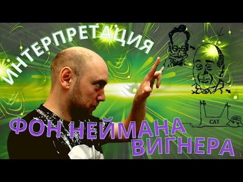 Видео: В чём суть интерпретации фон Неймана — Вигнера? Душкин объяснит