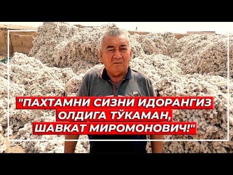 Видео: Негатив 580: Шоберди хожи пахта ҳосилини президентга топширмоқчи.
