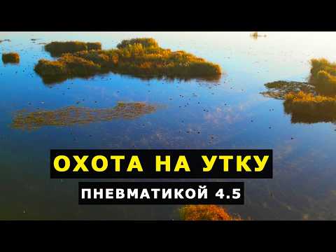 Видео: ЛУЧШЕЕ ОЗЕРО для ОХОТЫ с ПНЕВМАТИКОЙ на УТКУ