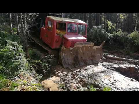 Видео: Тонем в деляне