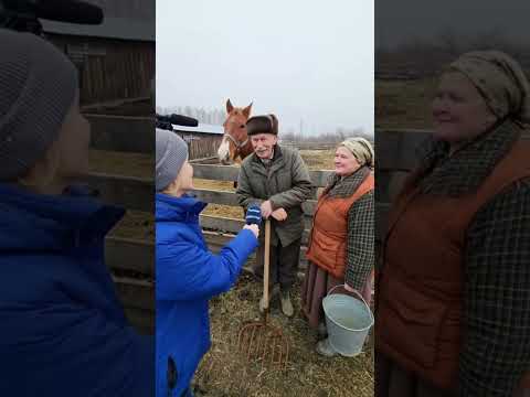 Видео: 🐴😂 “Почему лошадь городская?” — Дед выдал в точку! #русскийюмор #юмор #дед #прикол #шортс