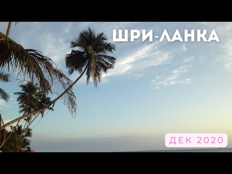 Видео: Шри-Ланка, Хиккадува дек 2019 - янв 2020