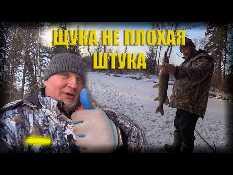 Видео: Сеть под лед щука на жарку