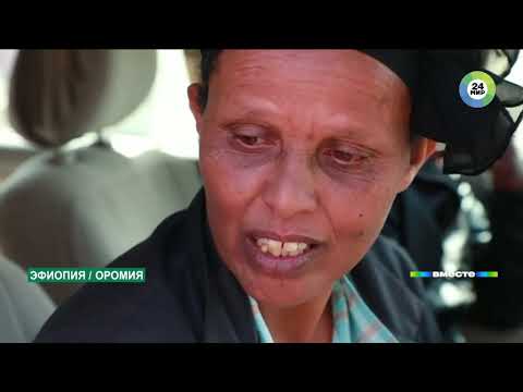 Видео: Точка невозврата: катастрофа «боинга» в Эфиопии была неизбежной