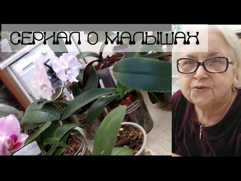 Видео: Определилась с уходом за малышами. Начинаю курс .