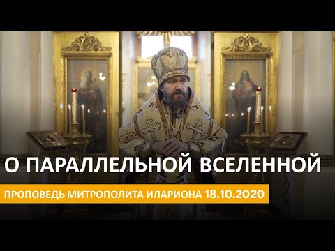 Видео: Несколько слов о параллельной вселенной. Проповедь 18.10.2020