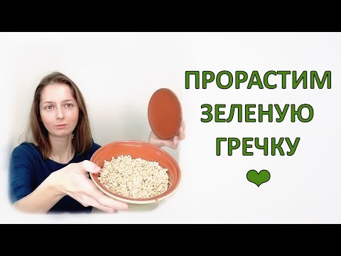 Видео: Просто и быстро проращиваю гречку. Без слизи.