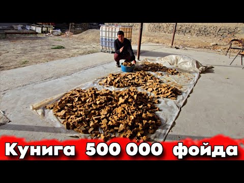 Видео: УЗБЕКИСТОН  ЯНГИЛИК  ХАММА  СЕКРЕТИНИ  АЙТИШАДИ. Кунига 50 $  фойда 