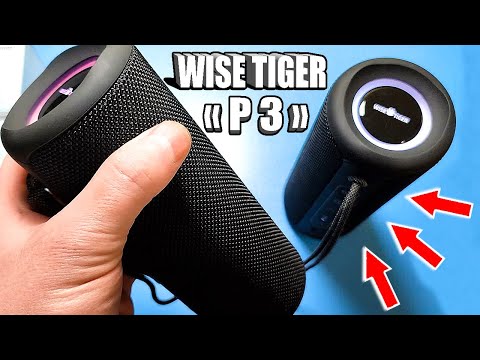 Видео: РАБОТАЕТ ДАЖЕ ПОД ВОДОЙ WISETIGER P3 30 Вт МОЩЬНОГО живого звука 💪Bluetooth колонка с защитой IPX7