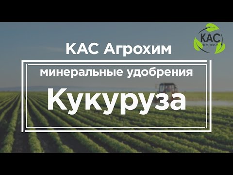 Видео: КАС АГРОХИМ -  Минеральные удобрение - кукуруза