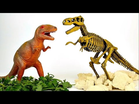 Видео: Динозавр T-REX - Играем в археологов. Развивающие видео для деток