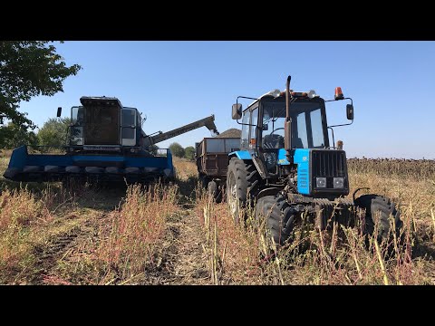 Видео: Уборка Подсолнуха 2018 КЗС 9.1 СЛАВУТИЧ