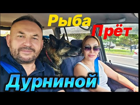 Видео: РЫБАЛКА ПРОСТО СУППЕР !!!