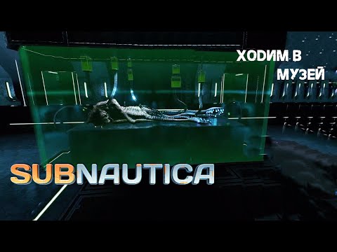 Видео: 94.Ходим в музей (ｏ・_・)ノ- Subnautica