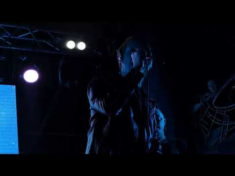 Видео: Другой ветер в Екатеринбурге (11.02.25, Екатеринбург, клуб Нирвана)