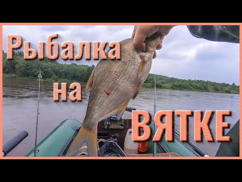 Видео: Рыбалка на Вятке.  Большие Стерляги.