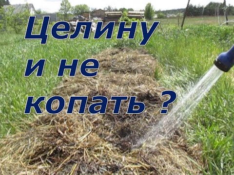 Видео: Целину можно не копать.