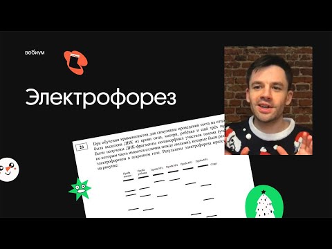 Видео: Электрофорез и тест на отцовство | ЕГЭ по биологии 2021 | Вебиум