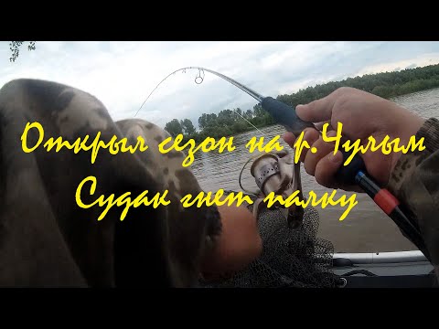 Видео: Открытие сезона на р.Чулым. Судак гнет палку