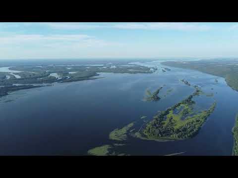 Видео: Старая песенка о Васильсурске