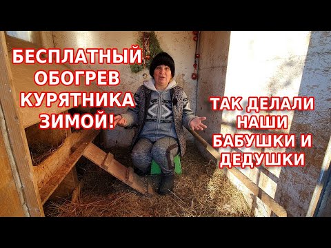 Видео: Бесплатный обогрев курятника// Самое дешёвое отопление для зимы для кур