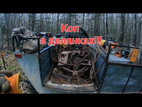 Видео: В делянки на поиски металлолома. Осенний металлокоп на каракате.