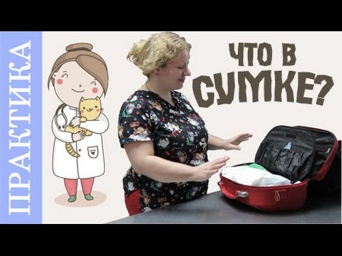 Видео: Что в моей сумке ветеринара? Сколько у меня сумок?