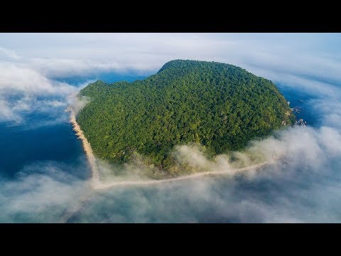 Видео: Маршруты, мифы и факты острова Петрова