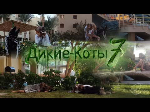 Видео: Астра с Шакиром  Кири и Хиро отправляются в старое логово, НОВАЯ ЧАСТЬ Диких-Котов 7