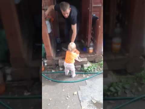 Видео: Настя получила зарплату,опять даню простила