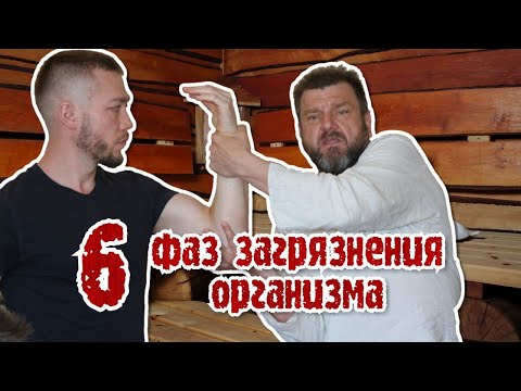 Видео: 6 фаз загрязнения организма
