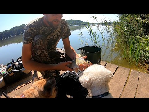 Видео: ПОШЛО ВСЕ НЕ ТАК...Активный Отдых на Природе и Рыбалка с Ночевкой на 3 дня!