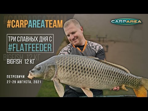 Видео: Рыбалка с #Flatfeeder на оз. Петревичи. BIGFISH 12 кг.