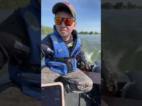 Видео: Обзор и тест Таймень LX 3600 под мотором 15 сил.