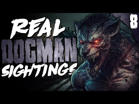 Видео: 8 реальных случаев появления догмэнов, которые вас взволнуют